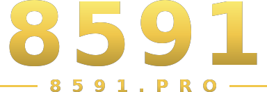 8591 logo